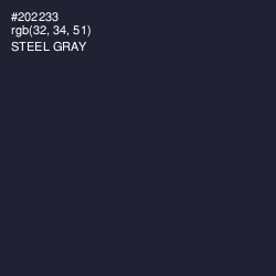 #202233 - Steel Gray Color Image